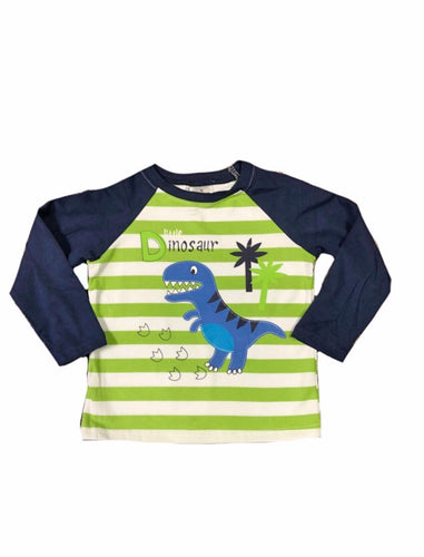 Little Dino Stripe Raglan